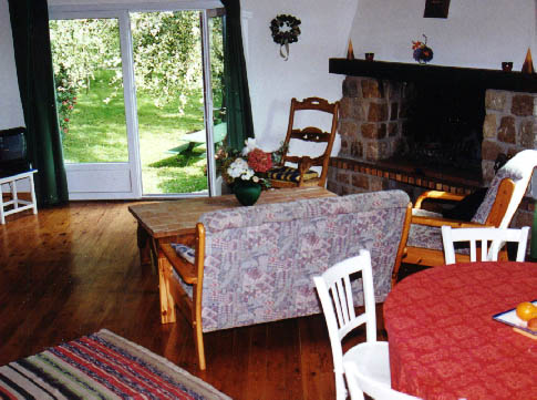 The living room with chimney