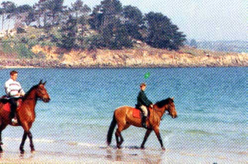 Une ballade à cheval sur la plage